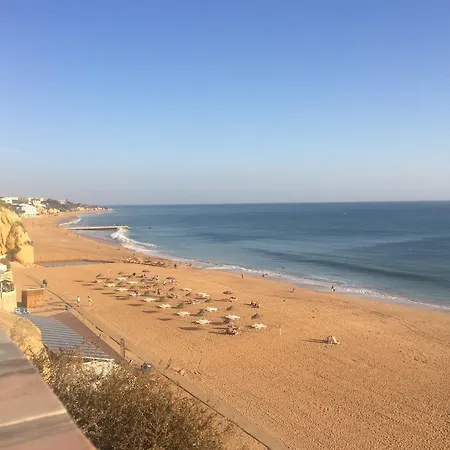 Cip-t1 Point 0 Albufeira